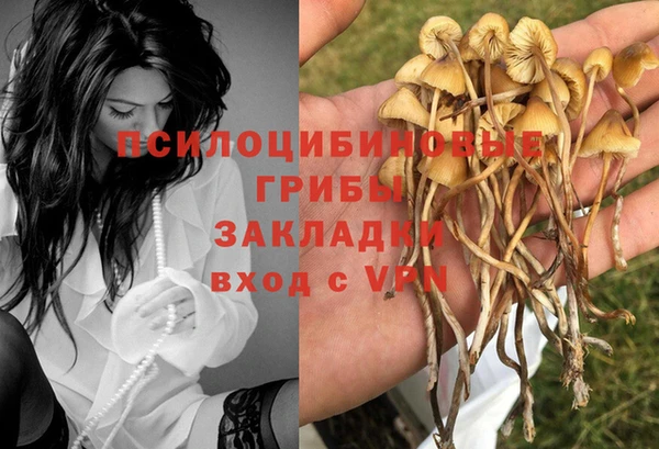 PSILOCYBIN Алзамай